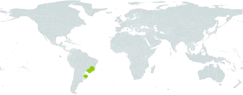 Symplocos pentandra world distribution map, present in Brazil