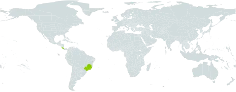 Syzygiella tonduzana world distribution map, present in Brazil and Costa Rica