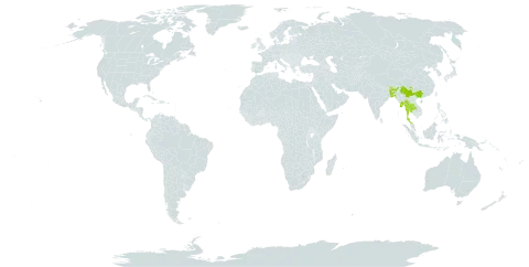 Syzygium praecox world distribution map, present in Bangladesh, Bhutan, China, India, Myanmar, Nepal, and Thailand