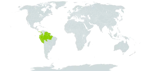 Tabernaemontana sananho world distribution map, present in Brazil, Colombia, Ecuador, French Guiana, Guyana, Panama, Peru, Suriname, and Venezuela (Bolivarian Republic of)