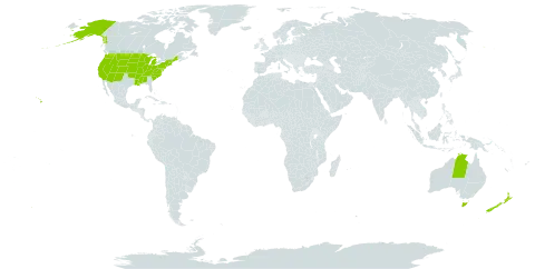 Tanacetum world distribution map, present in Australia, New Zealand, and United States of America