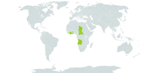 Tapinanthus belvisii world distribution map, present in Angola, Central African Republic, Côte d'Ivoire, Ghana, Sierra Leone, Chad, and Togo