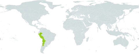 Tarasa tenella world distribution map, present in Argentina, Bolivia (Plurinational State of), Chile, and Peru