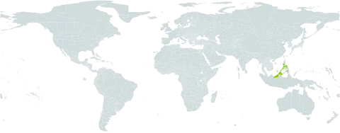 Tasmannia piperita world distribution map, present in Brunei Darussalam, Indonesia, Malaysia, and Philippines