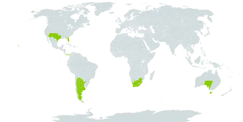 Tecoma world distribution map, present in Argentina, Australia, Panama, Puerto Rico, United States of America, and South Africa