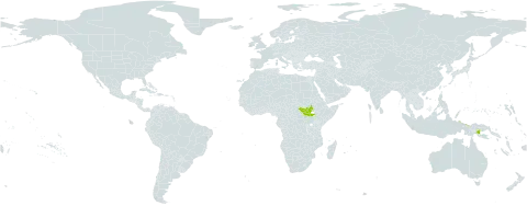 Tecomanthe volubilis world distribution map, present in Indonesia, Papua New Guinea, and South Sudan