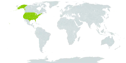 Tephrosia curtissii world distribution map, present in United States of America