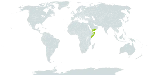 Tephrosia dura world distribution map, present in Somalia and Yemen