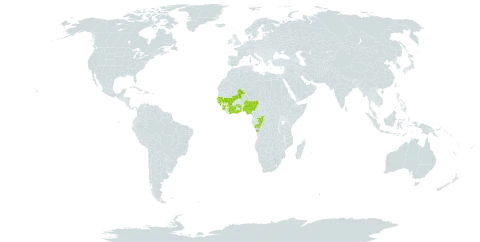 Tephrosia flexuosa world distribution map, present in Angola, Côte d'Ivoire, Congo, Ghana, Guinea, Gambia, Guinea-Bissau, Mali, Nigeria, Senegal, Sierra Leone, and Togo