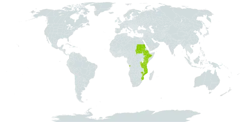 Tephrosia interrupta world distribution map, present in Angola, Burundi, Ethiopia, Kenya, Mozambique, Malawi, Rwanda, Sudan, Tanzania, United Republic of, and Uganda