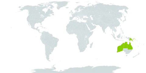 Tephrosia leptoclada world distribution map, present in Australia and Papua New Guinea
