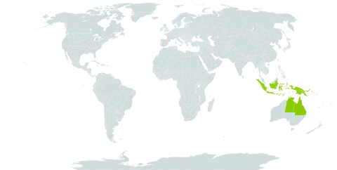 Tephrosia maculata world distribution map, present in Australia, Indonesia, and Papua New Guinea