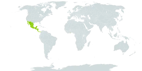 Tephrosia multifolia world distribution map, present in Belize, Costa Rica, Ghana, Guatemala, Honduras, Mexico, Nicaragua, Panama, Singapore, and El Salvador