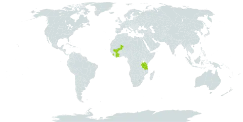 Tephrosia paucijuga world distribution map, present in Côte d'Ivoire, Mali, Sierra Leone, and Tanzania, United Republic of