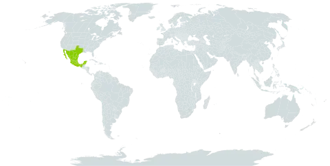Tephrosia potosina world distribution map, present in Mexico and United States of America