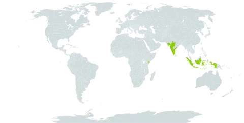 Tephrosia spinosa world distribution map, present in Indonesia, India, Kenya, and Sri Lanka