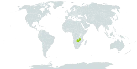 Tephrosia zambiana world distribution map, present in Zambia