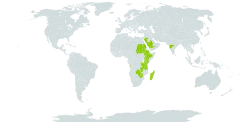 Teramnus repens world distribution map, present in Angola, Burundi, Comoros, Ethiopia, India, Kenya, Madagascar, Mauritius, Rwanda, Saudi Arabia, Sudan, Tanzania, United Republic of, Uganda, Zambia, and Zimbabwe