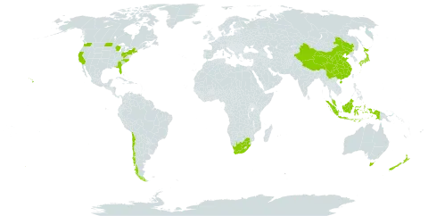 Tetragonia world distribution map, present in Australia, Chile, China, Indonesia, Japan, Malaysia, New Zealand, United States of America, and South Africa