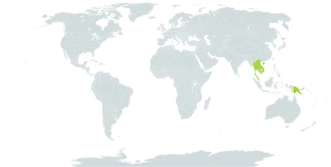 Tetrastigma scariosum world distribution map, present in China, Cambodia, Lao People's Democratic Republic, Malaysia, Papua New Guinea, Thailand, and Viet Nam