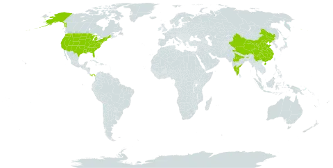 Thalictrum world distribution map, present in China, India, Panama, and United States of America