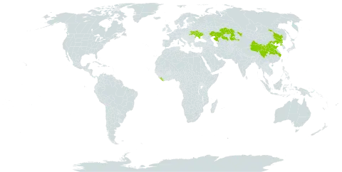 Thalictrum petaloideum world distribution map, present in China, Kazakhstan, Liberia, Korea (Democratic People's Republic of), and Ukraine
