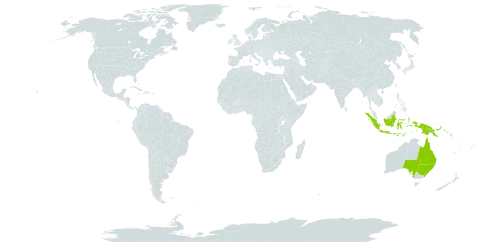 Thelypteris sogerensis world distribution map, present in Australia, Indonesia, Papua New Guinea, and Solomon Islands