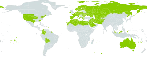 Thinopyrum world distribution map, present in Afghanistan, Albania, Australia, Austria, Bulgaria, Bolivia (Plurinational State of), Switzerland, Colombia, Cyprus, Czech Republic, Germany, Denmark, Algeria, Egypt, Spain, Finland, Falkland Islands (Malvinas), France, Georgia, Greece, Hungary, Ireland, Iran (Islamic Republic of), Iraq, Italy, Kazakhstan, Kyrgyzstan, Libya, Morocco, Malaysia, Netherlands, Norway, Pakistan, Palau, Poland, Portugal, Romania, Russian Federation, Saudi Arabia, Singapore, Svalbard and Jan Mayen, Sweden, Turks and Caicos Islands, Turkmenistan, Tunisia, Ukraine, United States of America, and Uzbekistan