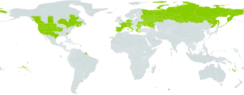 Thinopyrum obtusiflorum world distribution map, present in Austria, Bulgaria, Canada, Switzerland, Germany, Spain, France, Greece, Italy, Portugal, Romania, Russian Federation, Turks and Caicos Islands, and Ukraine
