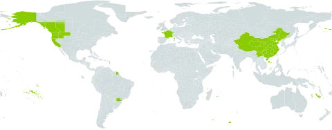 Thuja plicata world distribution map, present in Brazil, Canada, China, France, and United States of America