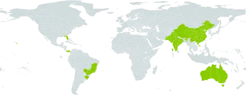 Thunbergia fragrans world distribution map, present in American Samoa, Australia, Brazil, China, India, Pakistan, Panama, and United States of America