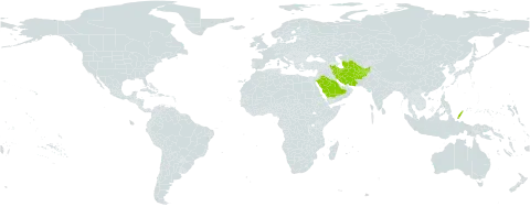 Thuspeinanta persica world distribution map, present in Afghanistan, Iran (Islamic Republic of), Palau, Saudi Arabia, and Turkmenistan
