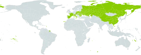 Thymus pulegioides subsp. pannonicus world distribution map, present in Austria, Bulgaria, Belarus, China, Czech Republic, Spain, France, Hungary, Italy, Kazakhstan, Kyrgyzstan, Poland, Romania, Russian Federation, and Ukraine