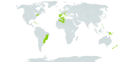 Thymus vulgaris world distribution map, present in Brazil, Switzerland, Cuba, Czech Republic, Dominica, Algeria, Spain, France, Haiti, Italy, New Zealand, Philippines, Papua New Guinea, Puerto Rico, and United States of America