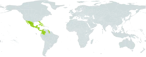 Tillandsia balbisiana world distribution map, present in Bahamas, Belize, Colombia, Costa Rica, Cuba, Cayman Islands, Dominica, Guatemala, Guyana, Honduras, Haiti, Jamaica, Mexico, Nicaragua, Panama, Puerto Rico, United States of America, and Venezuela (Bolivarian Republic of)