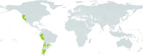 Tissa villosa world distribution map, present in Argentina, Chile, Mexico, Peru, Uruguay, and United States of America