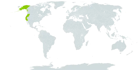 Tolmiea world distribution map, present in United States of America
