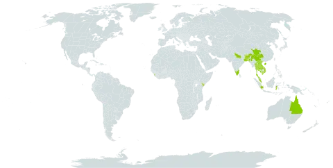 Toona sureni world distribution map, present in Australia, Bangladesh, Bhutan, China, Indonesia, India, Kenya, Cambodia, Lao People's Democratic Republic, Sri Lanka, Myanmar, Malaysia, Nepal, Philippines, Papua New Guinea, Thailand, and Viet Nam