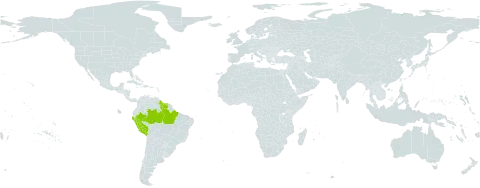 Toulicia bullata world distribution map, present in Brazil, Guyana, Peru, and Suriname