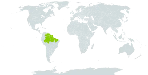 Toulicia guianensis world distribution map, present in Brazil, Colombia, French Guiana, Guyana, Suriname, and Venezuela (Bolivarian Republic of)