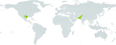 Tradescantia brevifolia world distribution map, present in Pakistan and United States of America