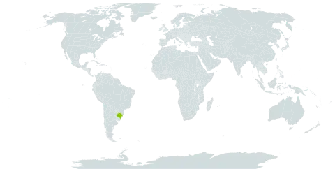 Tradescantia decora world distribution map, present in Brazil