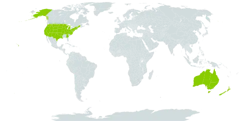 Tragopogon world distribution map, present in Australia, New Zealand, and United States of America