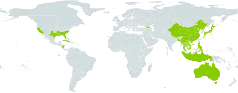 Triadica world distribution map, present in Åland Islands, Australia, Bangladesh, China, Cuba, Georgia, Indonesia, Japan, Lao People's Democratic Republic, Myanmar, Nicaragua, Nepal, Philippines, Puerto Rico, Korea (Democratic People's Republic of), Thailand, Taiwan, Province of China, United States of America, and Viet Nam