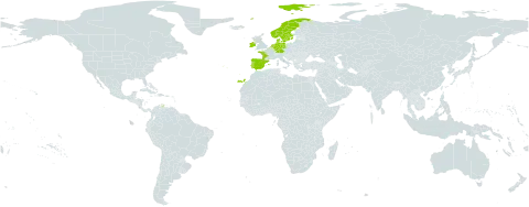 Trichophorum cespitosum subsp. germanicum world distribution map, present in Germany, Denmark, Spain, France, Ireland, Netherlands, Norway, Portugal, and Sweden