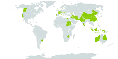 Trifolium alexandrinum world distribution map, present in Australia, Austria, Brazil, Canada, Switzerland, China, Egypt, Spain, France, Georgia, Hungary, Indonesia, India, Iran (Islamic Republic of), Iraq, Italy, Jordan, Lebanon, Liechtenstein, Sri Lanka, Nepal, Pakistan, Portugal, Russian Federation, Sudan, Taiwan, Province of China, United States of America, and Zimbabwe