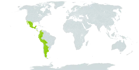 Trifolium amabile var. hemsleyi world distribution map, present in Argentina, American Samoa, Bolivia (Plurinational State of), Colombia, Costa Rica, Ecuador, Guatemala, Mexico, and Peru