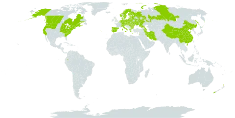 Trifolium aureum world distribution map, present in Albania, Andorra, Armenia, Austria, Azerbaijan, Belgium, Bulgaria, Belarus, Canada, Switzerland, China, Czech Republic, Germany, Denmark, Ecuador, Spain, Estonia, Finland, France, United Kingdom of Great Britain and Northern Ireland, Georgia, Greece, Hungary, Iran (Islamic Republic of), Italy, Lebanon, Liechtenstein, Lithuania, Luxembourg, Latvia, Moldova (Republic of), Netherlands, Norway, New Zealand, Poland, Portugal, Romania, Russian Federation, Slovakia, Sweden, Ukraine, and United States of America