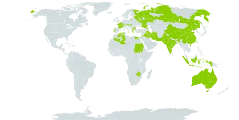 Trifolium constantinopolitanum world distribution map, present in Australia, Austria, Bulgaria, Switzerland, China, Algeria, Egypt, Spain, France, Greece, Hungary, Indonesia, India, Iran (Islamic Republic of), Iraq, Italy, Jordan, Lebanon, Liechtenstein, Sri Lanka, Nepal, Pakistan, Portugal, Russian Federation, Sudan, Taiwan, Province of China, and Zimbabwe