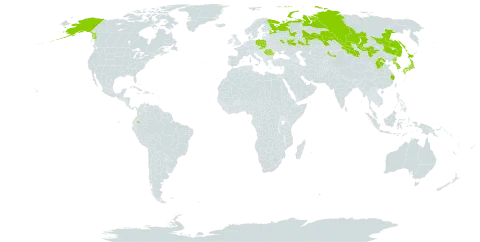 Trifolium lupinaster world distribution map, present in China, Ecuador, Japan, Kazakhstan, Korea (Republic of), Mongolia, Poland, Korea (Democratic People's Republic of), Romania, Russian Federation, Slovakia, and United States of America